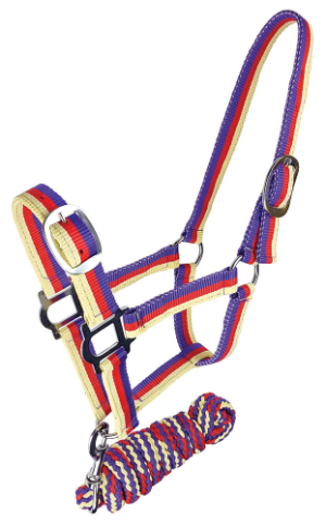Bright halter and lead set