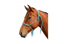 Load image into Gallery viewer, Metallic rope halter - size full
