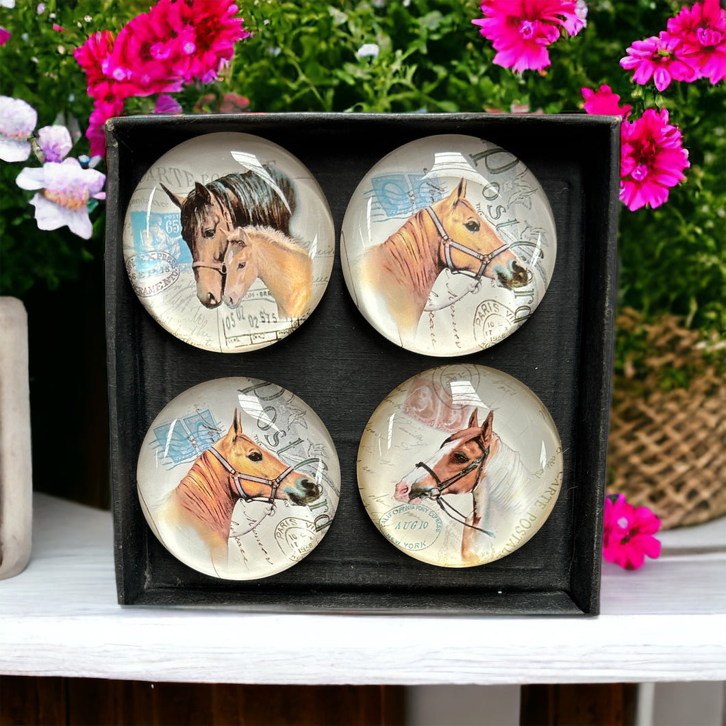 Horse glass magnets
